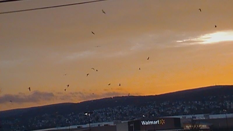 Taylor, PA: Sunrise over the Walmart