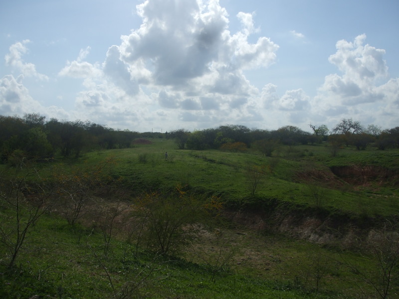 Pettus, TX this picture shows the beautiful land that is in pettus,tx