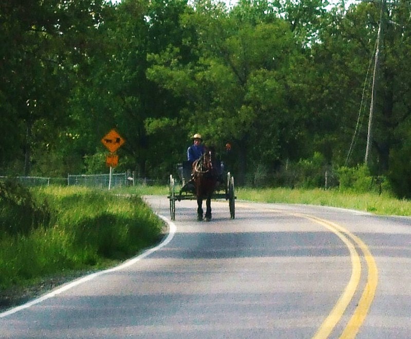 Seymour, MO: Amish traveling to town