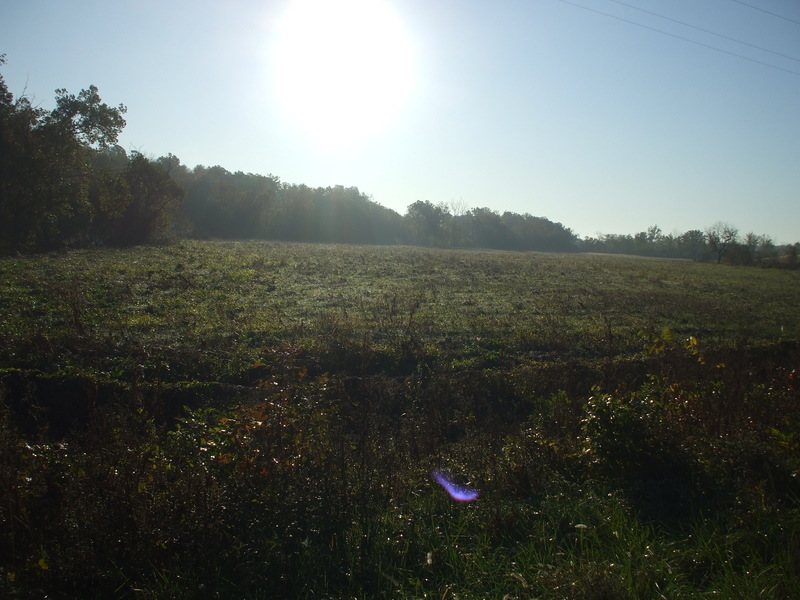 Marshfield, MO: Beautiful field on A Hwy