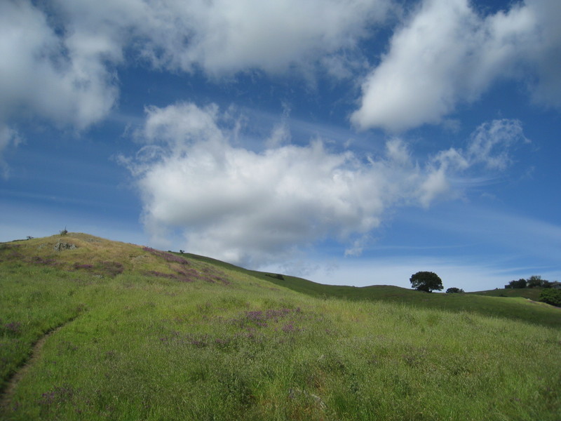 San Rafael, CA: terra linda -sleepy hollow divide open space