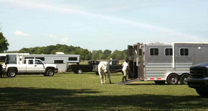 Ocala, FL: Country of Horse
