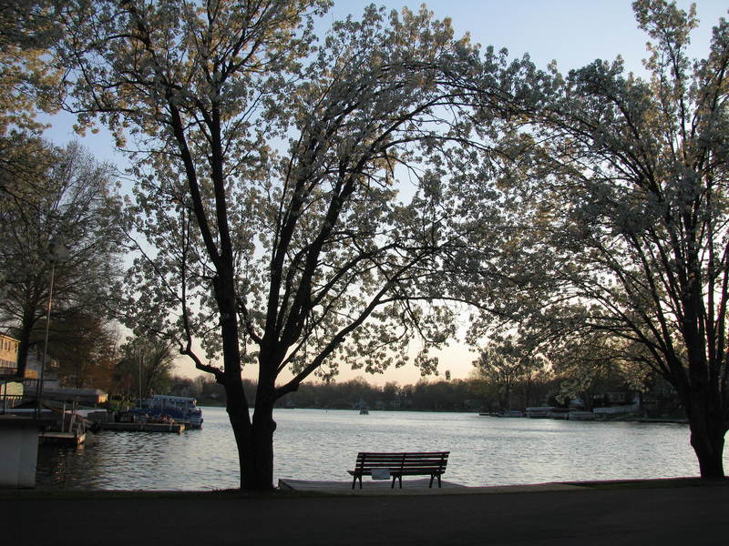 Lake Tapawingo, MO: Solitude