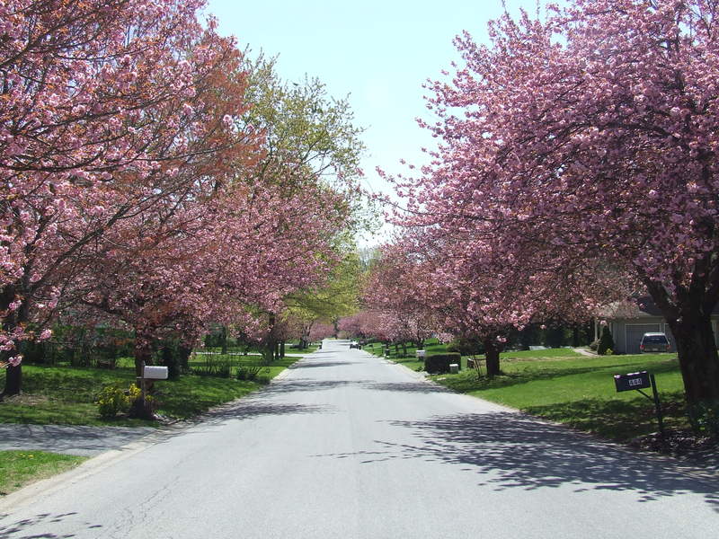 West Chester, PA Barker Drive photo, picture, image (Pennsylvania) at