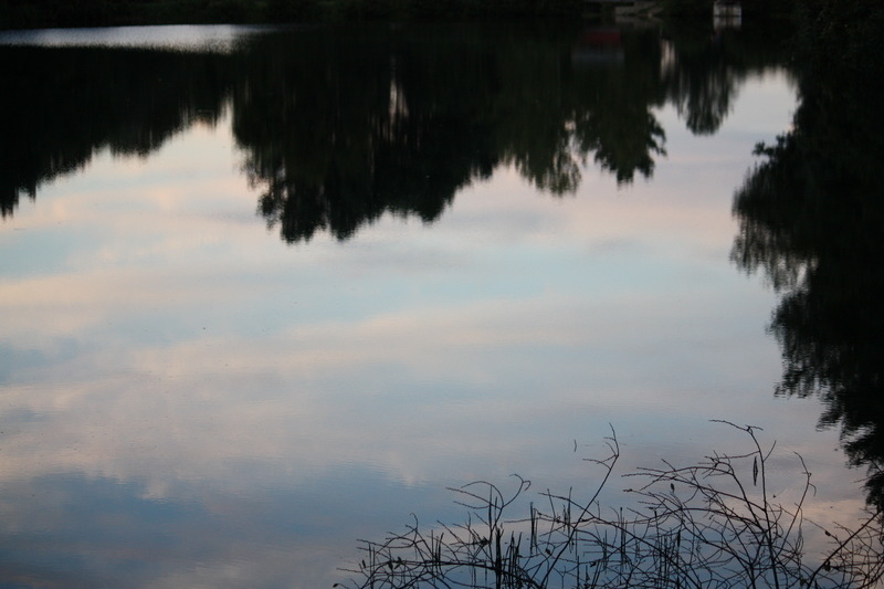 Ansonia, CT: fountian lake water reflexsion