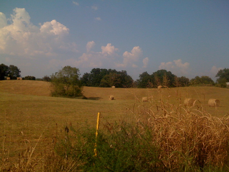Brownsville, KY: Edmonson County country field