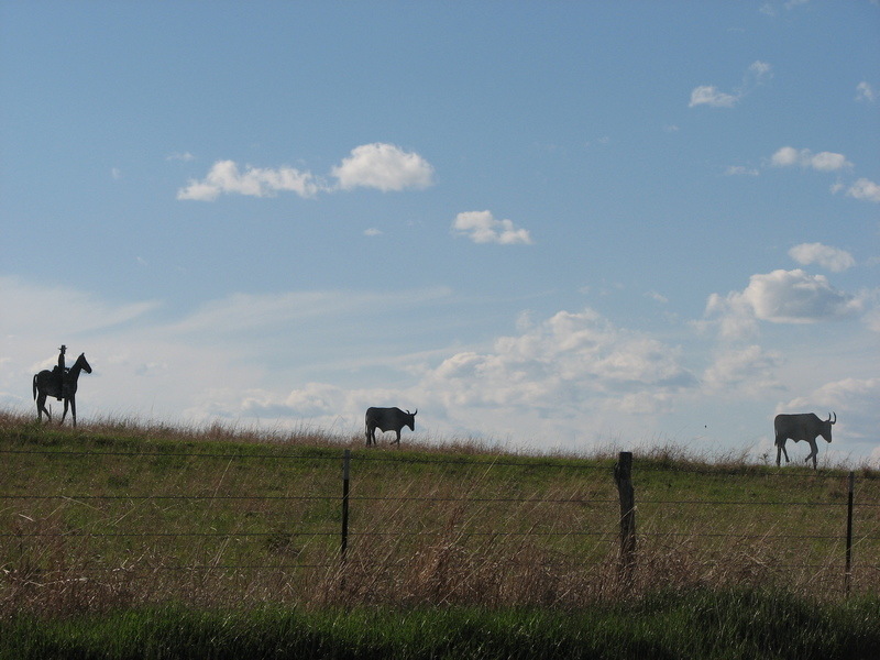 Lorraine, KS: Metal Cutouts of cowpoke and his cows