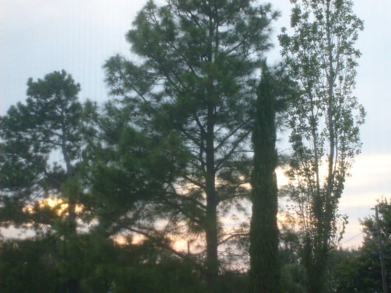 Gun Barrel City, TX sun set on the lake photo, picture, image (Texas