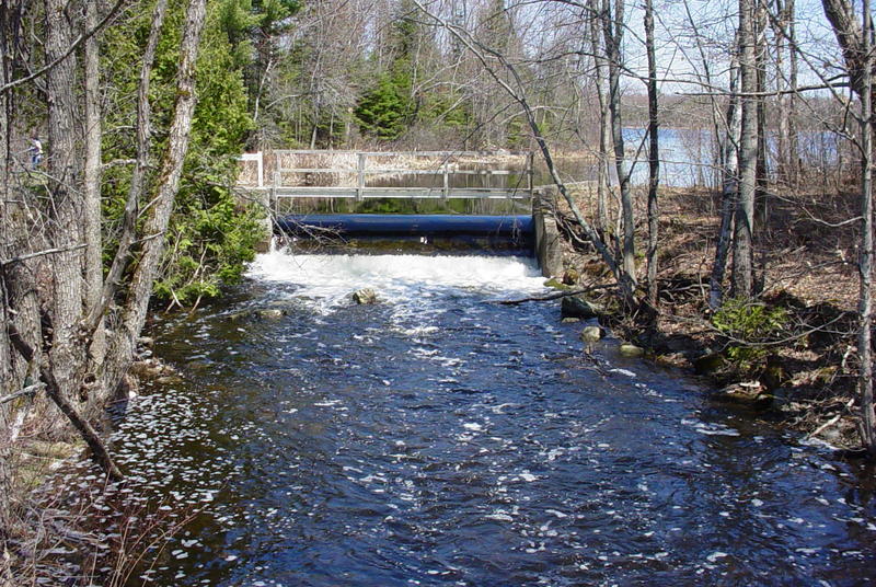 Palmyra, ME: Madawaska Wildlife Preserve outlet and boat launch Madawaska Rd. Palmyra,Maine