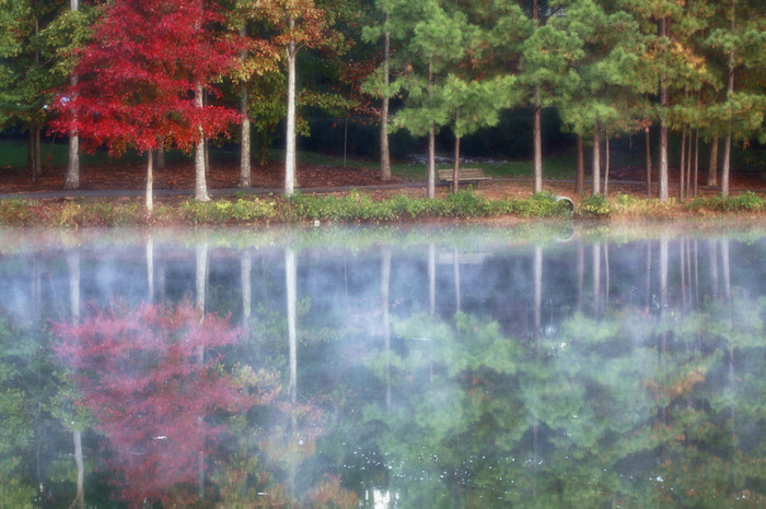 Glen Allen, VA: Fall at Innsbrook