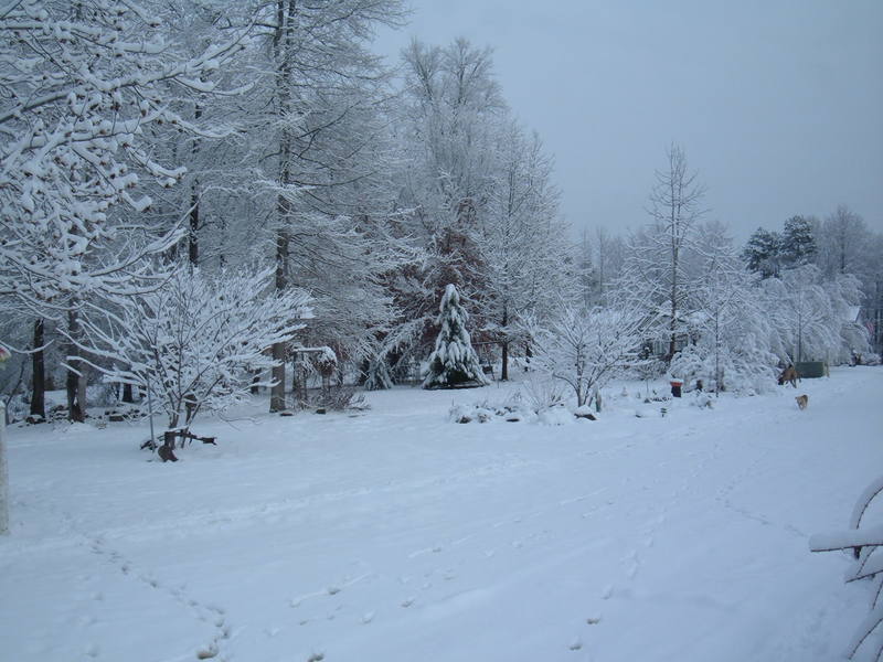 Mocksville, NC: a city side street during winter