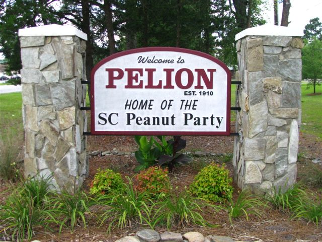 Pelion, SC: Pelion, SC "Home of the Peanut Party"