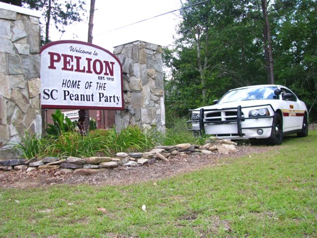 Pelion, SC: Pelion, SC "Home of the Peanut Party"