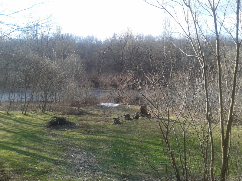 Delevan, NY: eleton creek in spring time