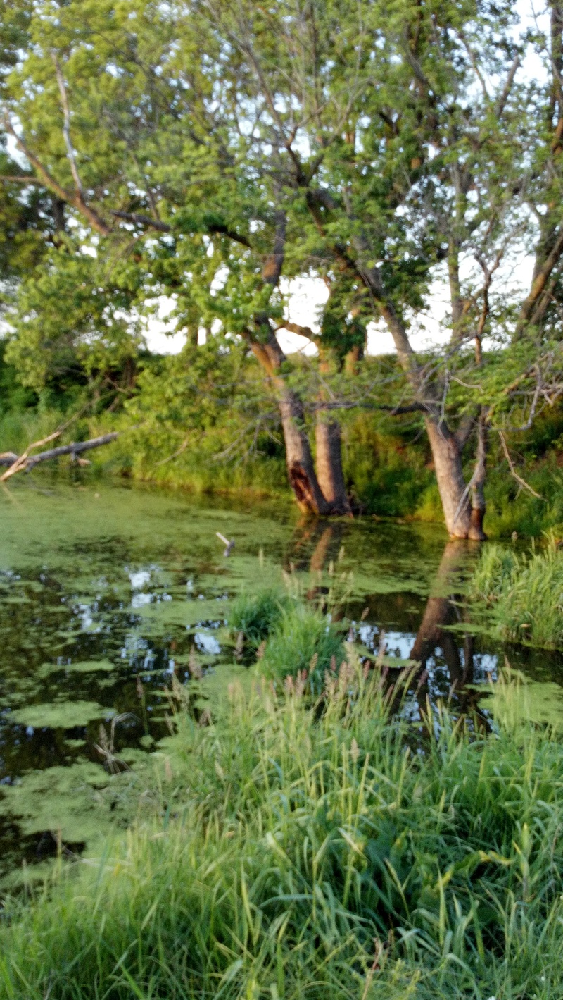 Hooper, NE Golf Course photo, picture, image (Nebraska) at