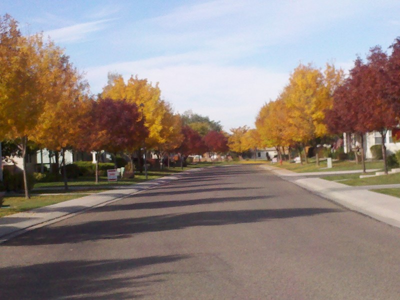 Fruita, CO: A look down the street in the Village at Country Creek for 55 and better!