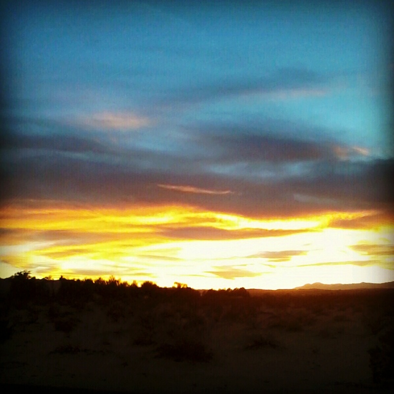 Twentynine Palms, CA : Joshua Tree National Park photo, picture, image