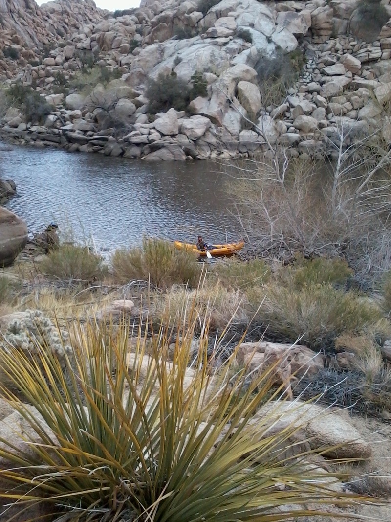 Twentynine Palms, CA : Joshua Tree National Park photo, picture, image