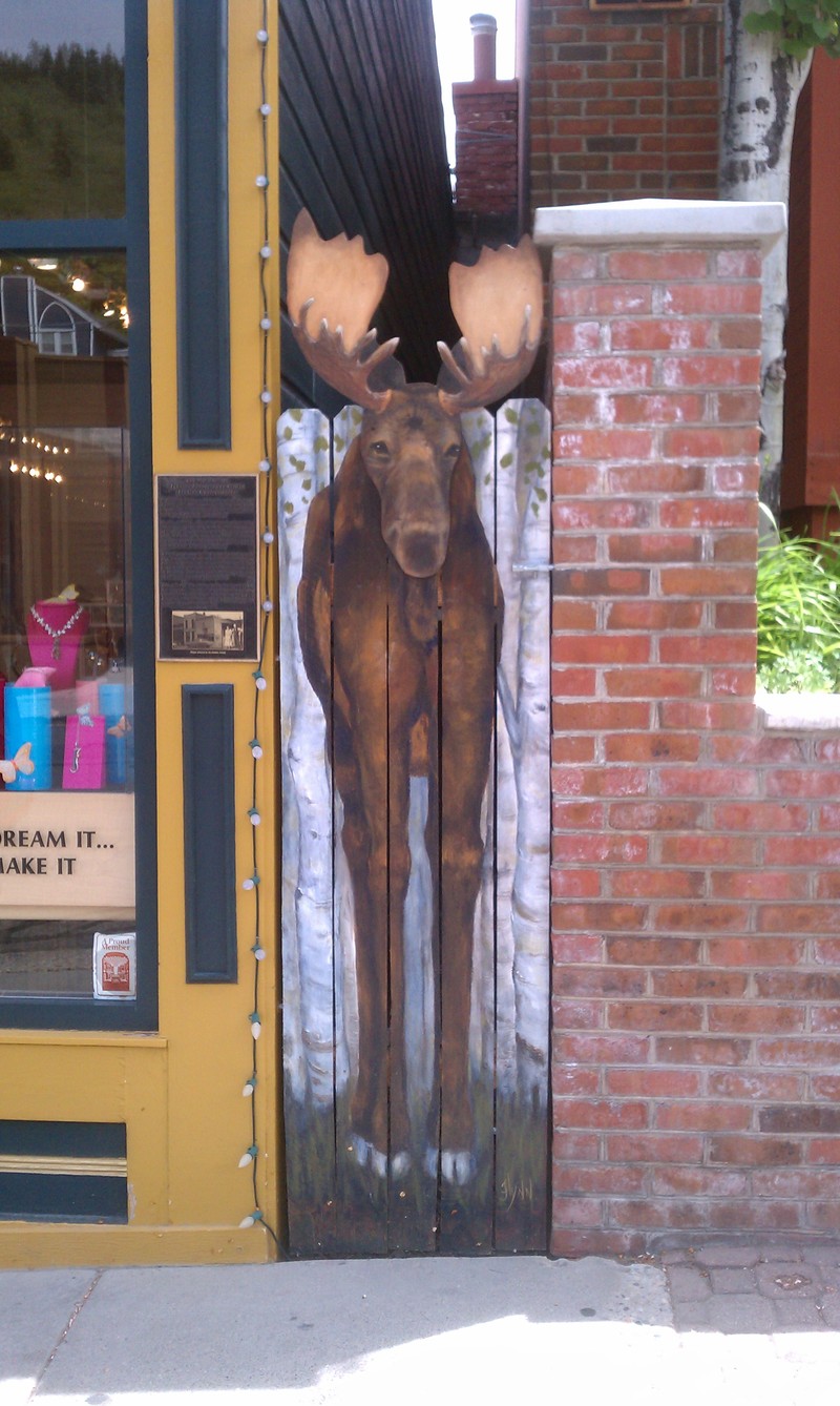 Park City, UT: where are the moose