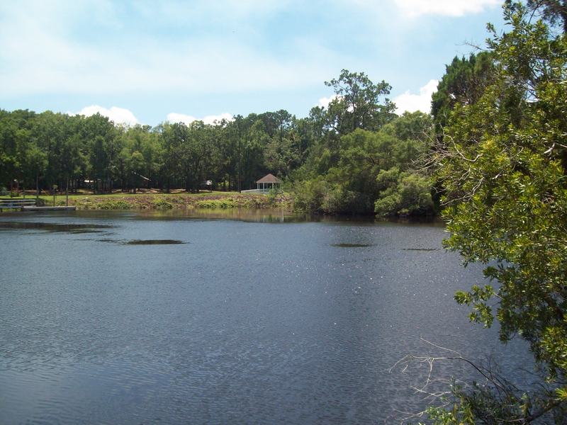 Sopchoppy, FL: I took this photo a few days ago from the city park ,before the flood .I was there w/ my Family fom Colorado until the 6/