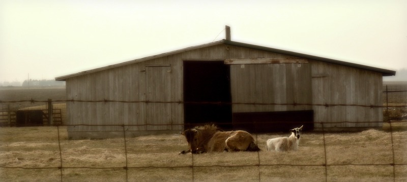 Wabash, IN: Hot Summer Days with Best Friends...just North of Northfield High School on US hwy 13