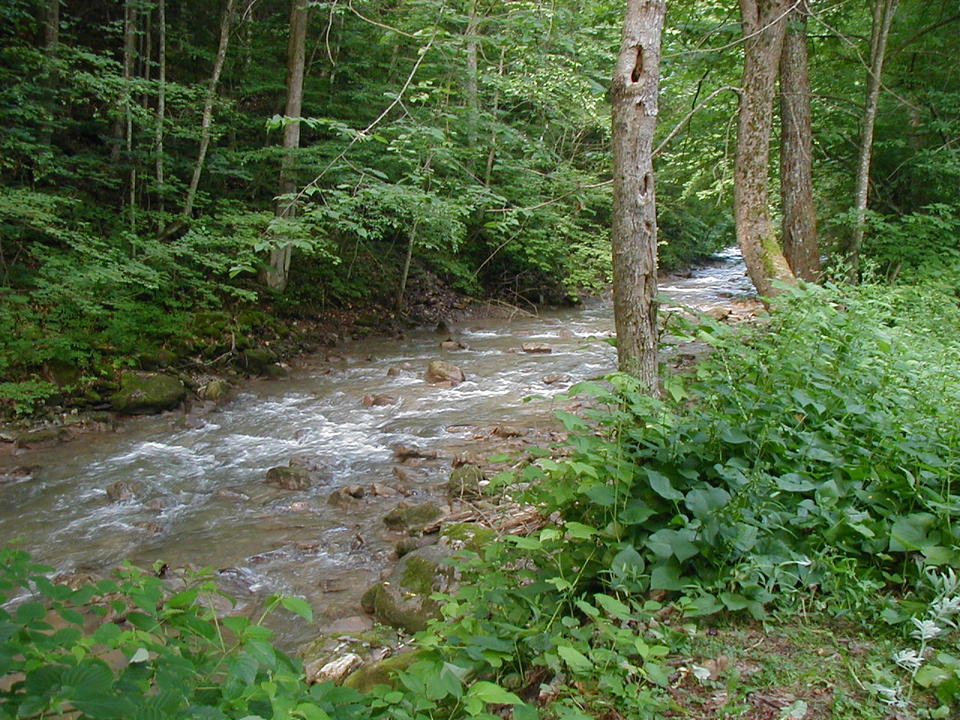 Ilion, NY Ilion photo, picture, image (New York) at