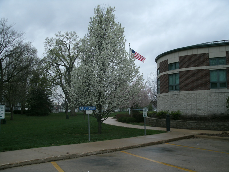 Kewanee, IL: Cityhall with flag flying
