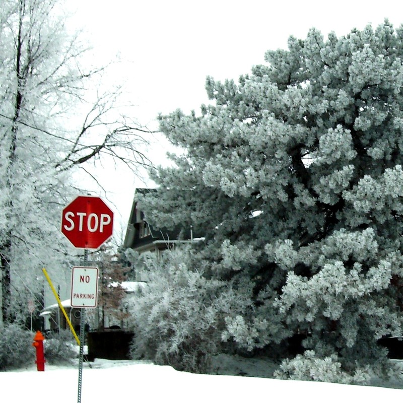 Galva, IL: Stop sign by middle school during hoar frost