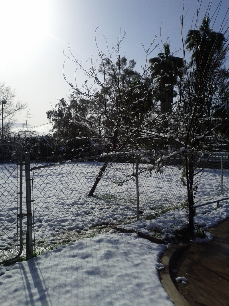 Cherry Valley, CA: Snowy Days in Cherry Valley