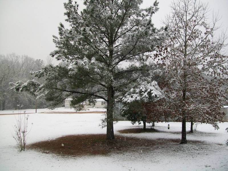 Yatesville, GA: snow day 2010 at home