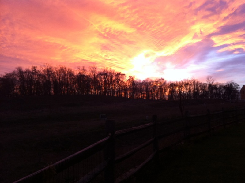 Red Lion, PA: Sunset over woods behing The Great American Saloon