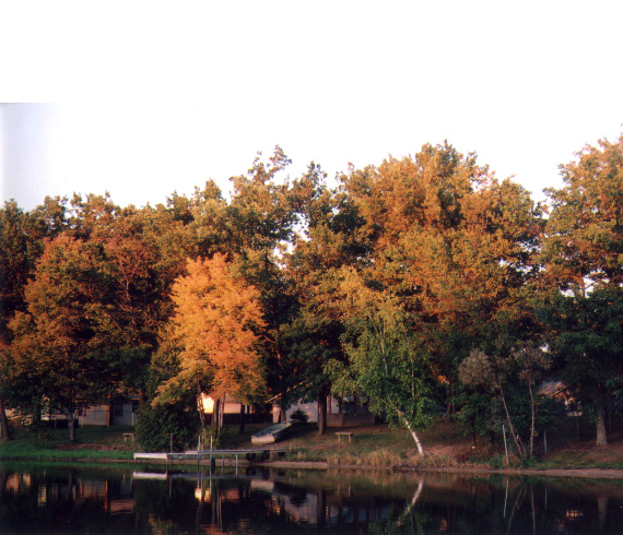 Skidway Lake, MI: Autumn color at Skidway Lake