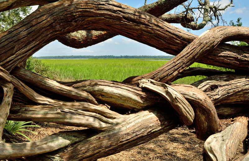 St. Marys, GA: Salt Marsh View at Crooked River State Park