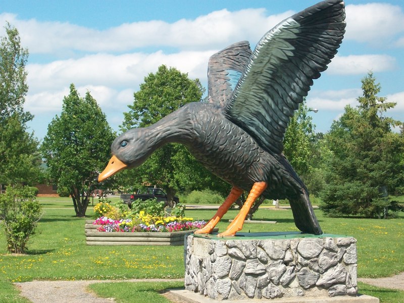 Blackduck, MN: Blackduck statue in town.