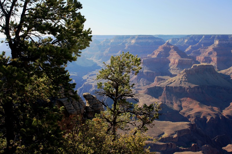 Grand Canyon Village, AZ: Grand Canyon