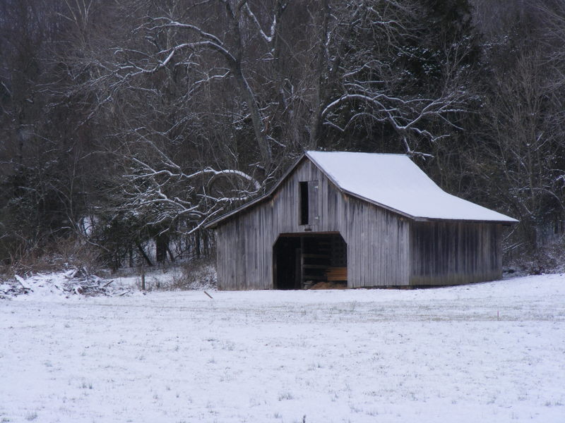 Goodlettsville, TN: snowy day....kind of rare 2