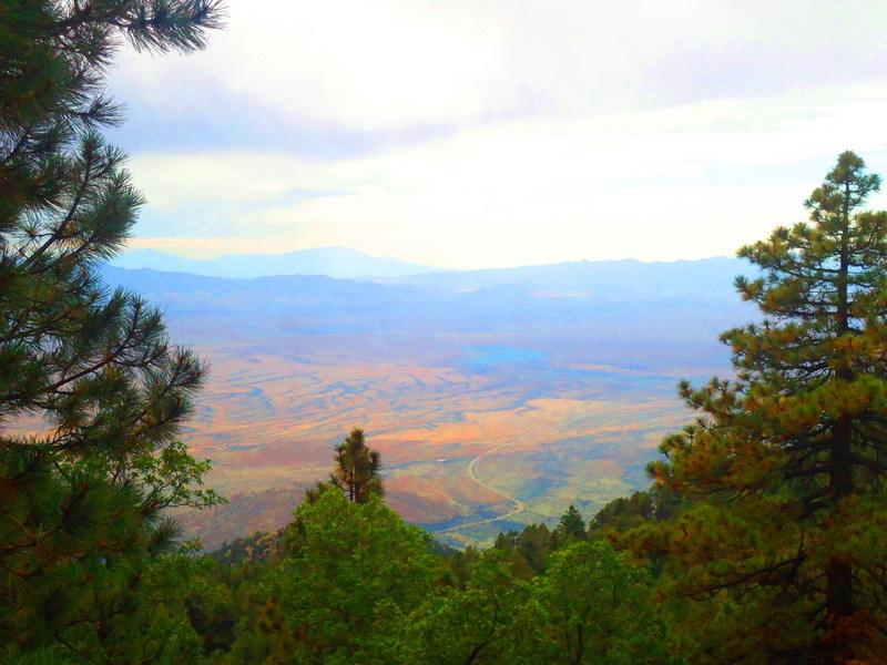Safford, AZ Atop Mt. Graham looking South where Klondyke Road can be