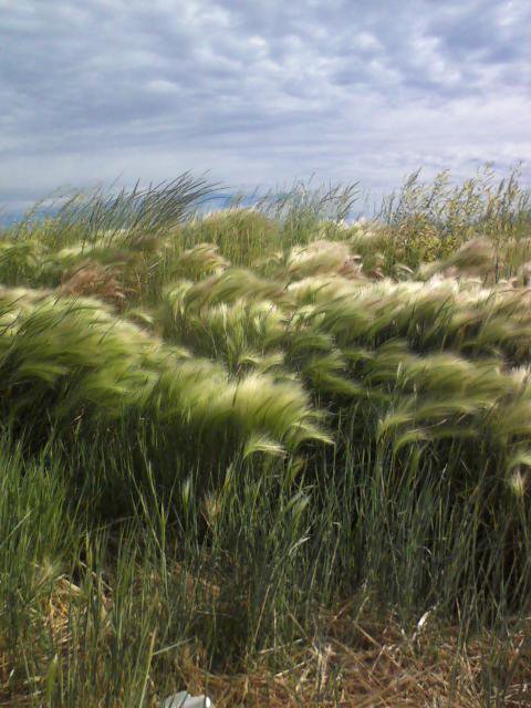 Gillette, WY: Empty lot on Knob Hill