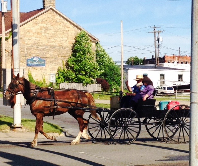 Mercer, PA: Amish buggy in Mercer, PA