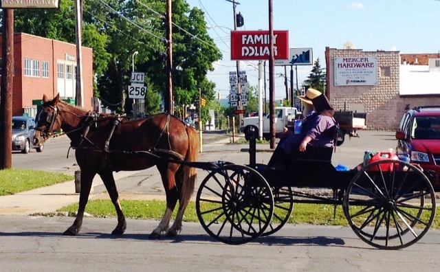 Mercer, PA: Amish buggy in Mercer, PA