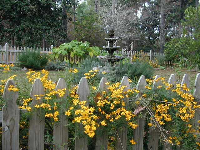 Florien, LA: Hodges Gardens, Florien LA