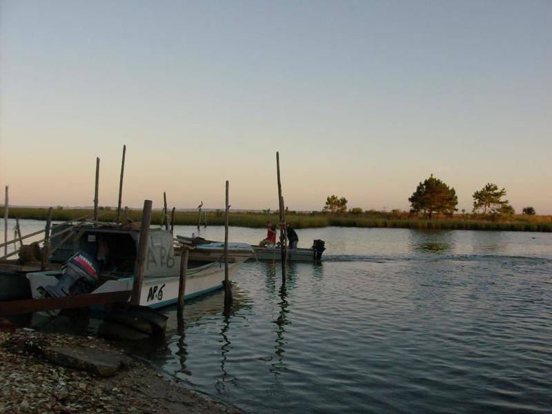 Eastpoint, FL: Eastpoint, FL Waterfront, Oyster boat