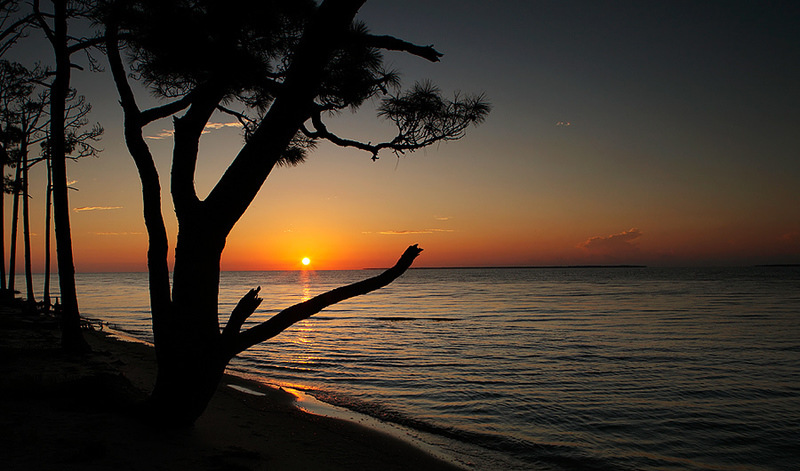 Eastpoint, FL: Apalachicola Bay at Eastpoint. View from Hwy 98