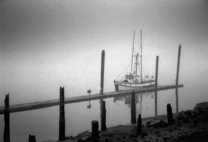 Florence, OR: Ebb Tide: Florence, Oregon...visitors dock and early morning fog.
