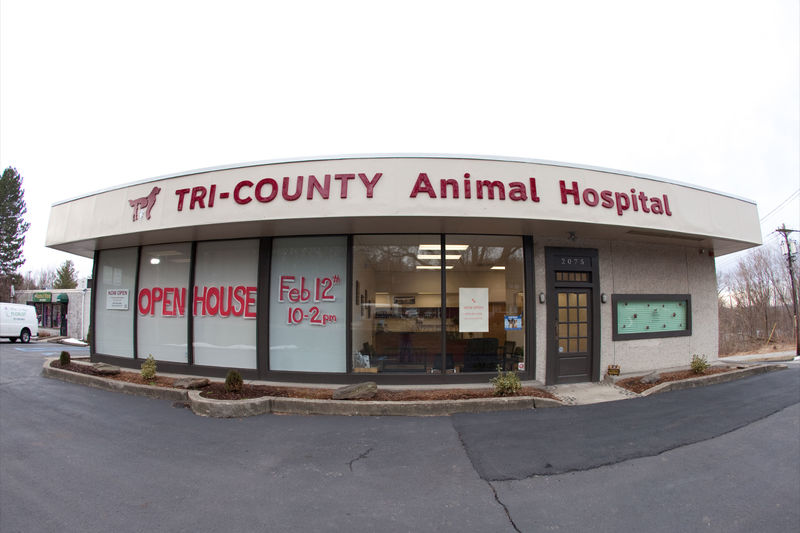 Wayne, NJ: Tri-County Animal Hospital - Veterinarian in Wayne, NJ