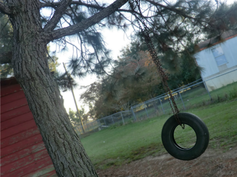 Enigma, GA: Tire swing in yard in Enigma, GA