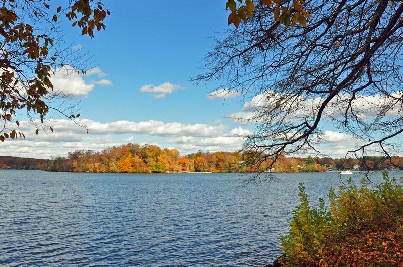 Lake Pocotopaug, CT One of the islands in Lake Pocotopaugh. The