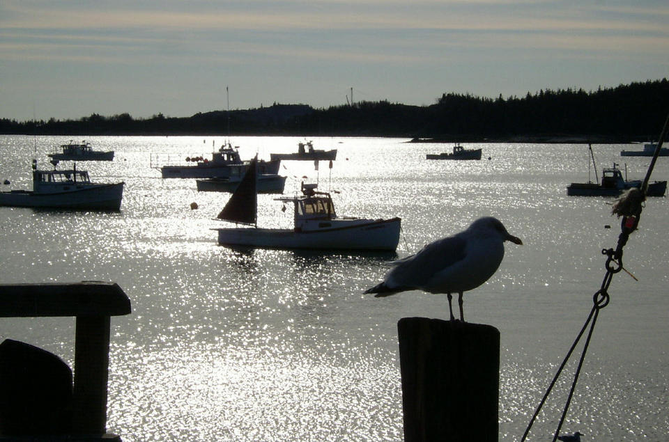 Stonington, ME: January 22, 2006 Late afternoon sun-winter lobster boats