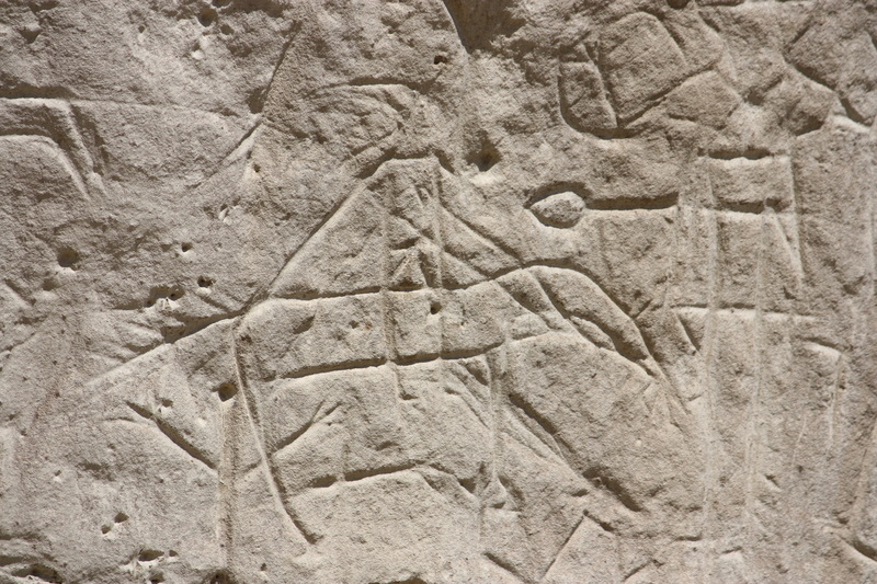 Rock Springs, WY: White Mtn Petroglyphs outside of Rock Springs