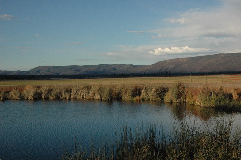 McArthur, CA Lake in McArthur, CA photo, picture, image (California